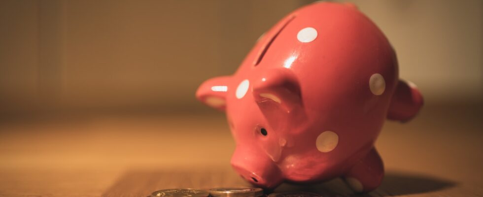 Der kan spares mange penge med gratis billeder