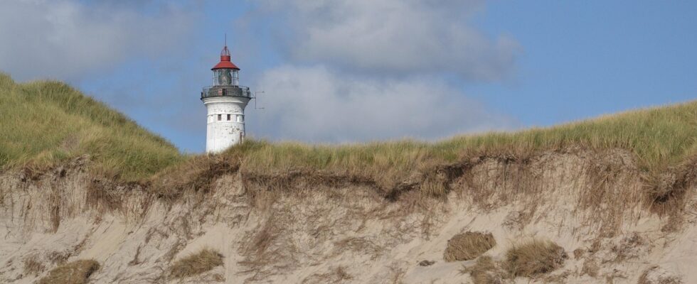lighthouse, denmark, jutland, north sea, sand dunes, beach, heaven, sea, landscape, coast, vacations, nature, sand, summer, landmark, daymark, scandinavia, dune landscape, hvide sands, lyngvig fyr, holmsland klit, ringkøbing fjord