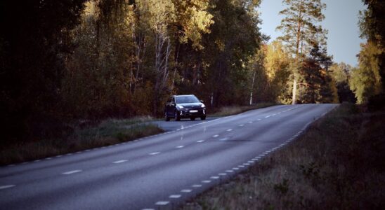 a car driving down a road in the middle of a forest