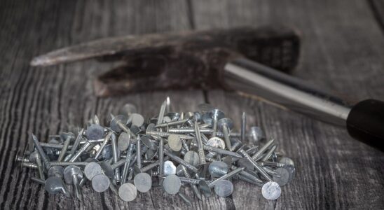 roofers, nails, multicoloured, zinc plated, zinc, metal, roof-cardboard pins, flat head, stole, industry, glittering, tool, metallic, repair, building, equipment, renovation, diy, connect, craft, roofing, roof, hammer, latthammer, carpenter's hammer, zinc, zinc, zinc, zinc, zinc, renovation, renovation