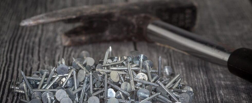 roofers, nails, multicoloured, zinc plated, zinc, metal, roof-cardboard pins, flat head, stole, industry, glittering, tool, metallic, repair, building, equipment, renovation, diy, connect, craft, roofing, roof, hammer, latthammer, carpenter's hammer, zinc, zinc, zinc, zinc, zinc, renovation, renovation